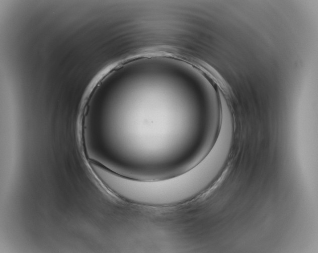 X0000114621196200910201126