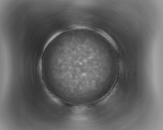 X0000114621198200910201126