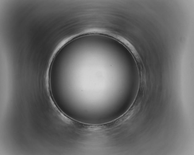 X0000114621199200910201126