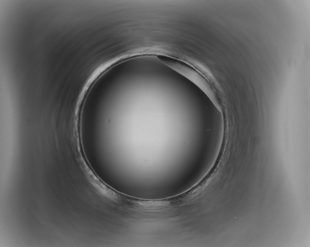 X0000114621200200910201126