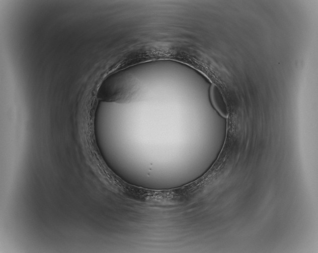 X0000114621201200910201125