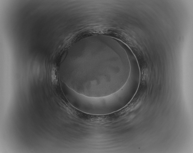 X0000114621202200910201126
