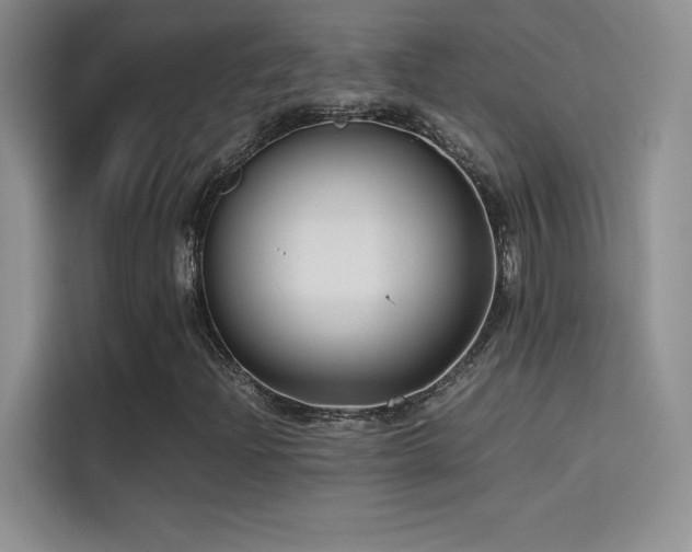 X0000114621204200910201126