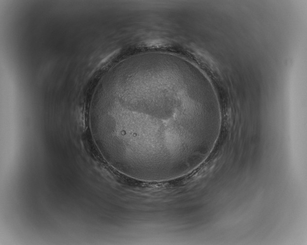 X0000114621205200910201126