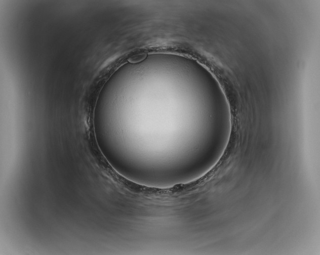 X0000114621206200910201126