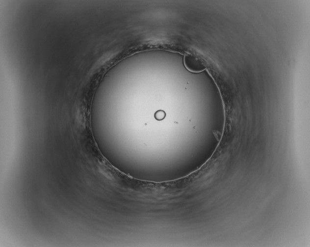 X0000114621207200910201126