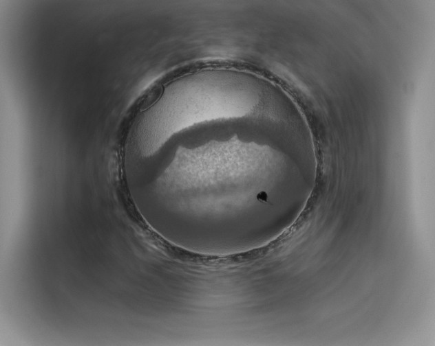 X0000114621208200910201126
