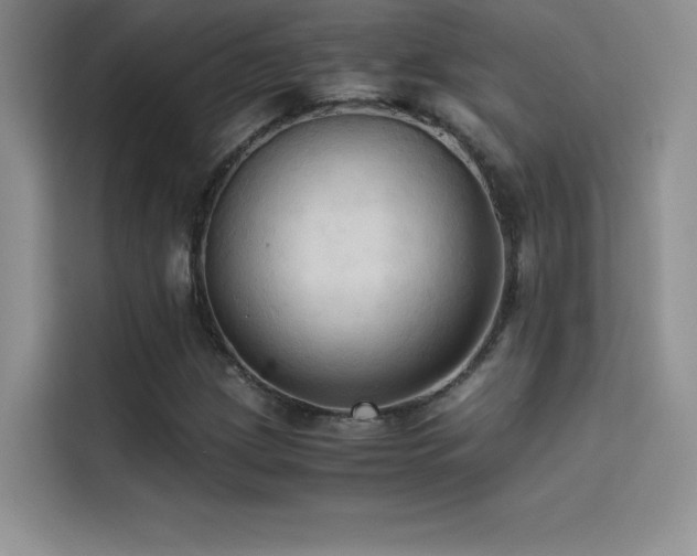 X0000114621209200910201126