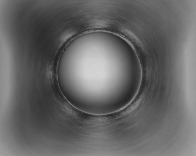 X0000114621210200910201126