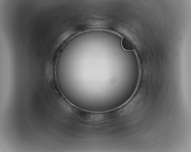 X0000114621211200910201126