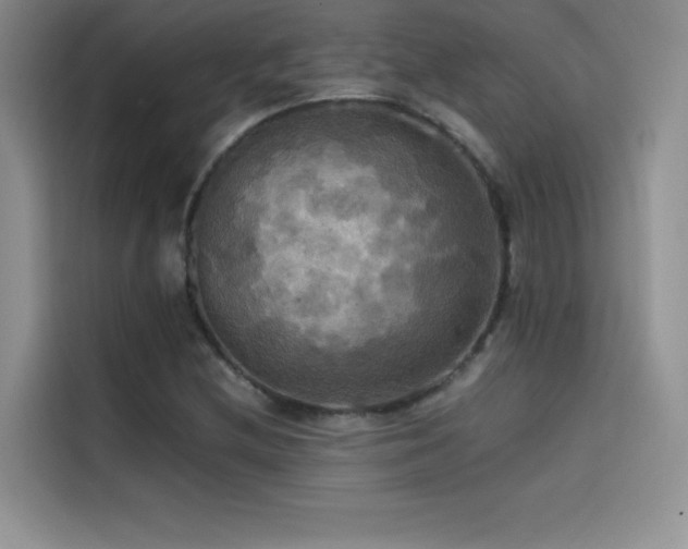 X0000114621212200910201126