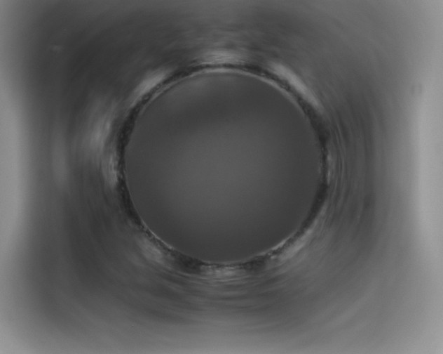 X0000114621213200910201126