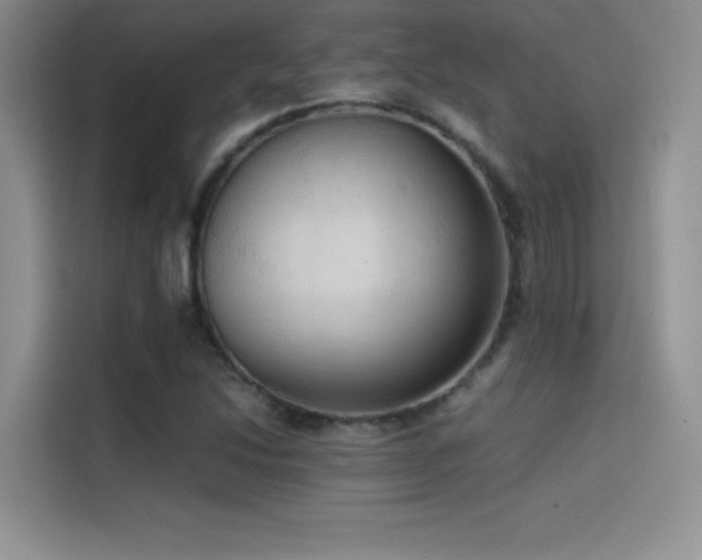 X0000114621214200910201126