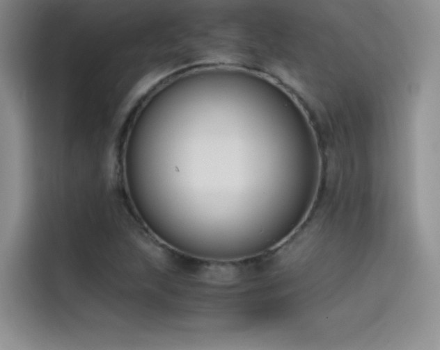 X0000114621215200910201126