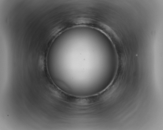 X0000114621217200910201126