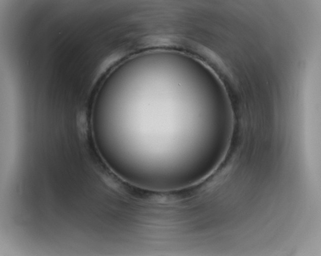 X0000114621218200910201126