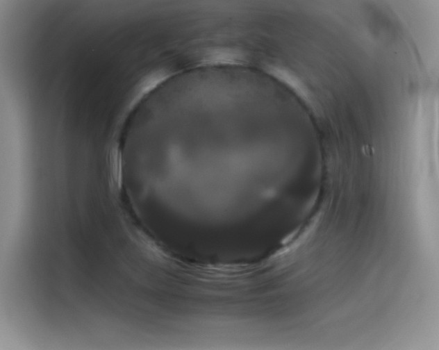 X0000114621219200910201126