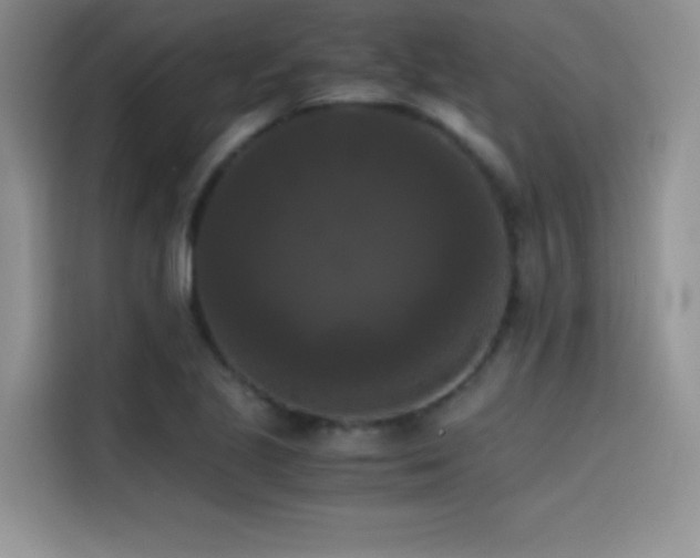 X0000114621221200910201126