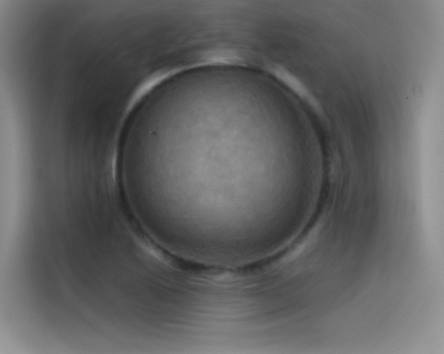 X0000114621222200910201126