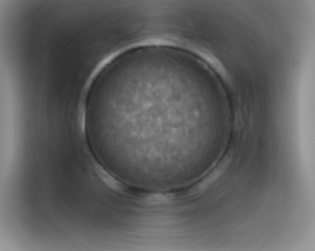 X0000114621224200910201126
