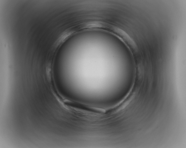 X0000114621225200910201126