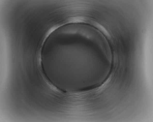 X0000114621226200910201126