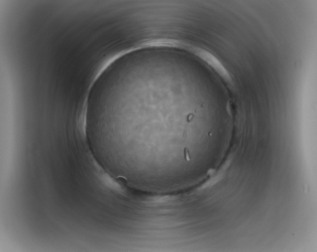 X0000114621228200910201126