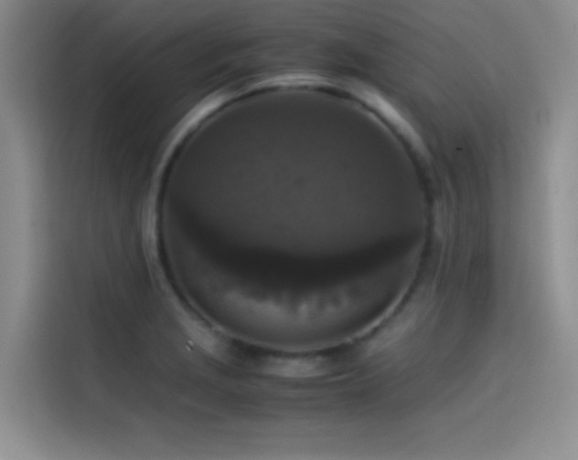 X0000114621229200910201126
