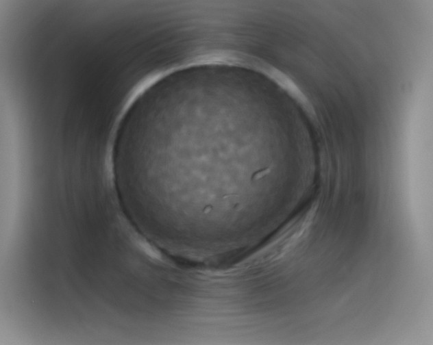 X0000114621230200910201126