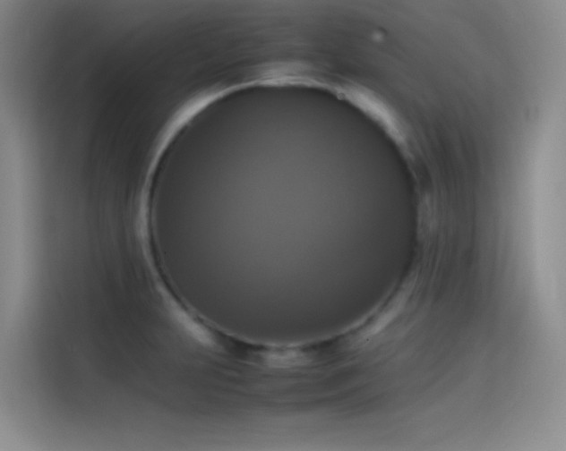 X0000114621231200910201126