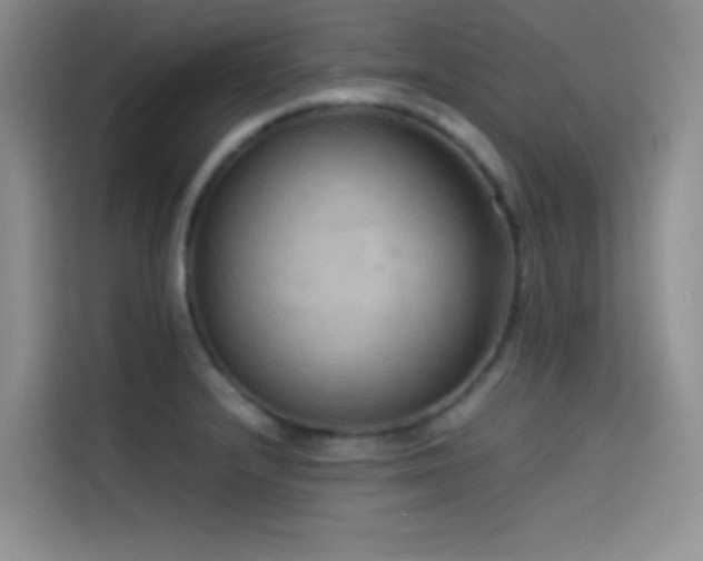 X0000114621232200910201126