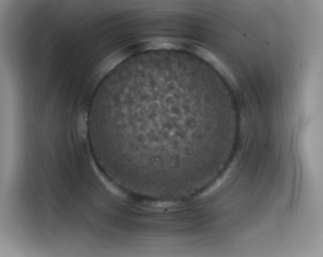 X0000114621233200910201126