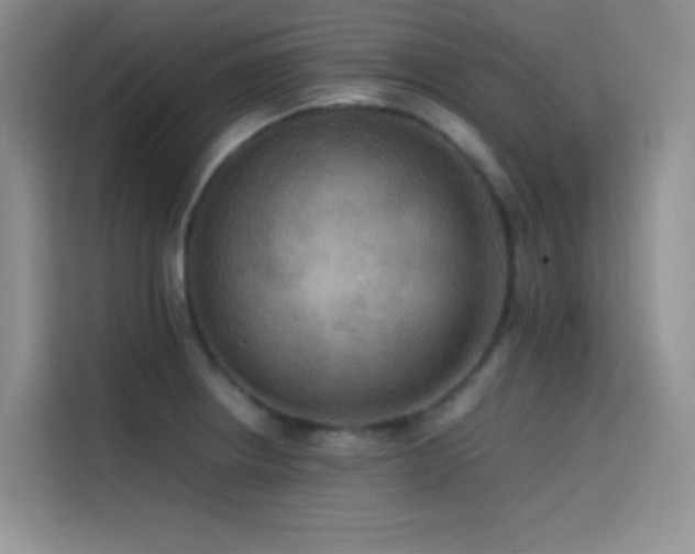 X0000114621234200910201126