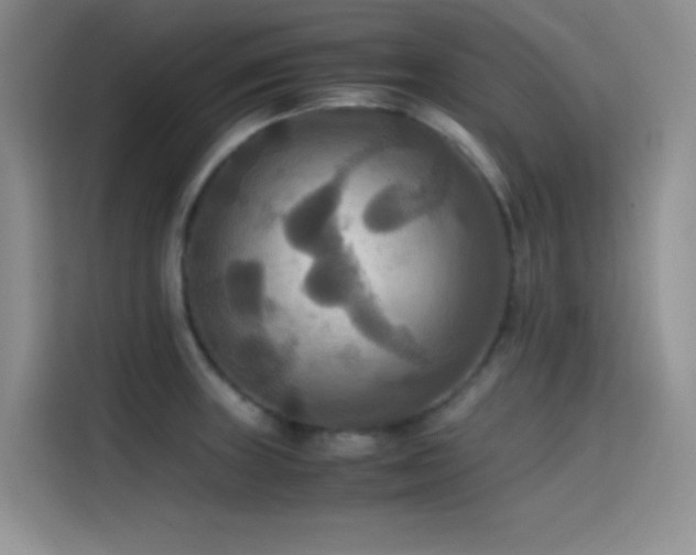 X0000114621235200910201126