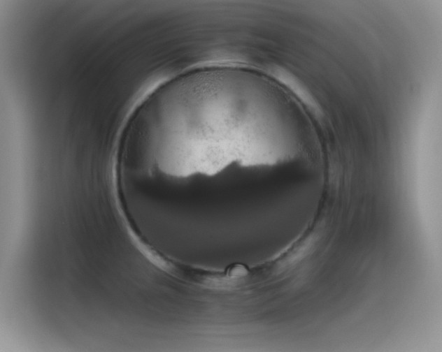 X0000114621237200910201126