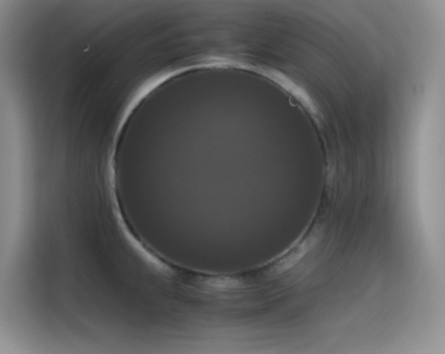 X0000114621239200910201126