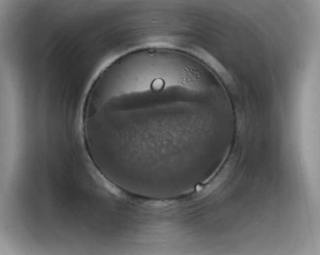 X0000114621240200910201126