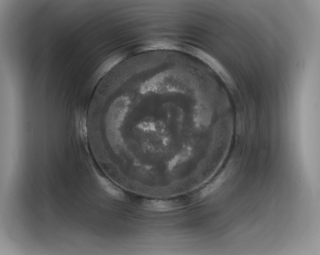X0000114621241200910201126