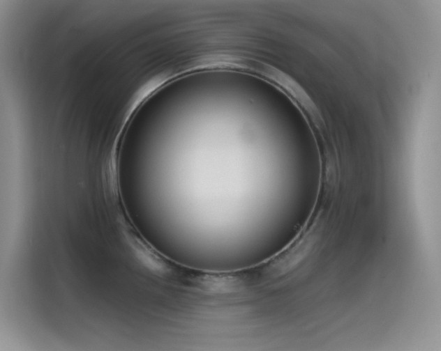 X0000114621242200910201126