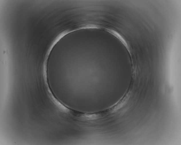 X0000114621243200910201126