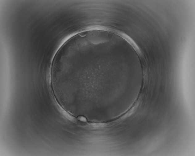 X0000114621244200910201126