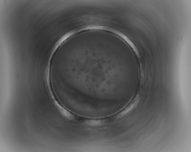 X0000114621245200910201126