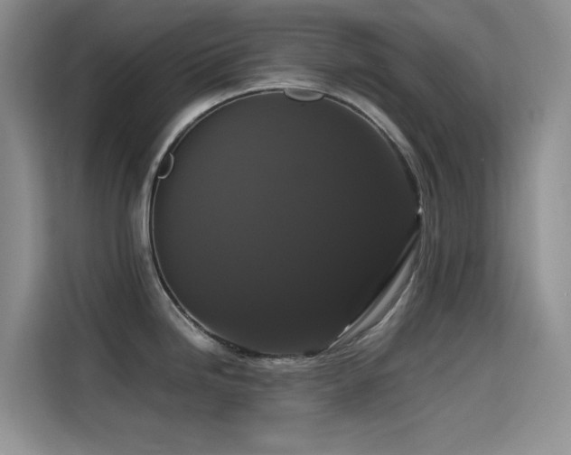X0000114621246200910201126