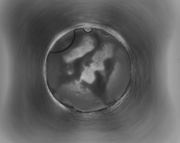 X0000114621247200910201126