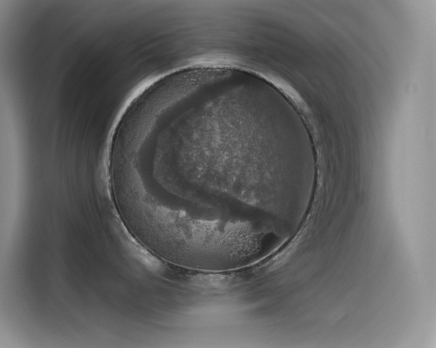 X0000114621248200910201126