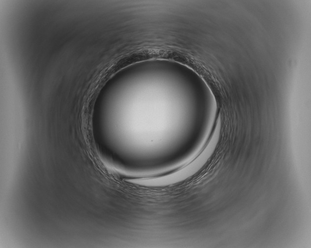 X0000114621249200910201125