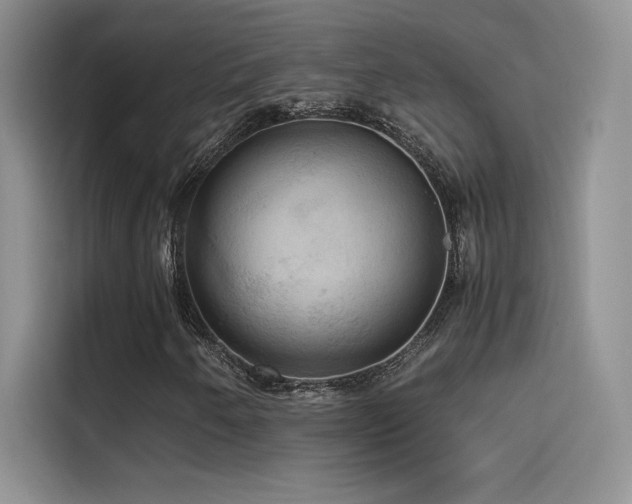 X0000114621250200910201125