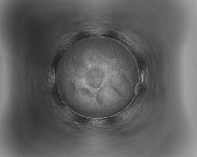 X0000114621251200910201125