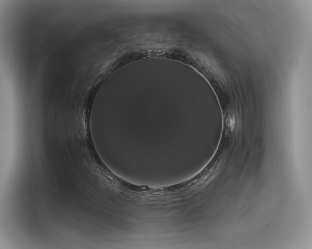 X0000114621252200910201125