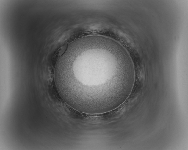 X0000114621253200910201125
